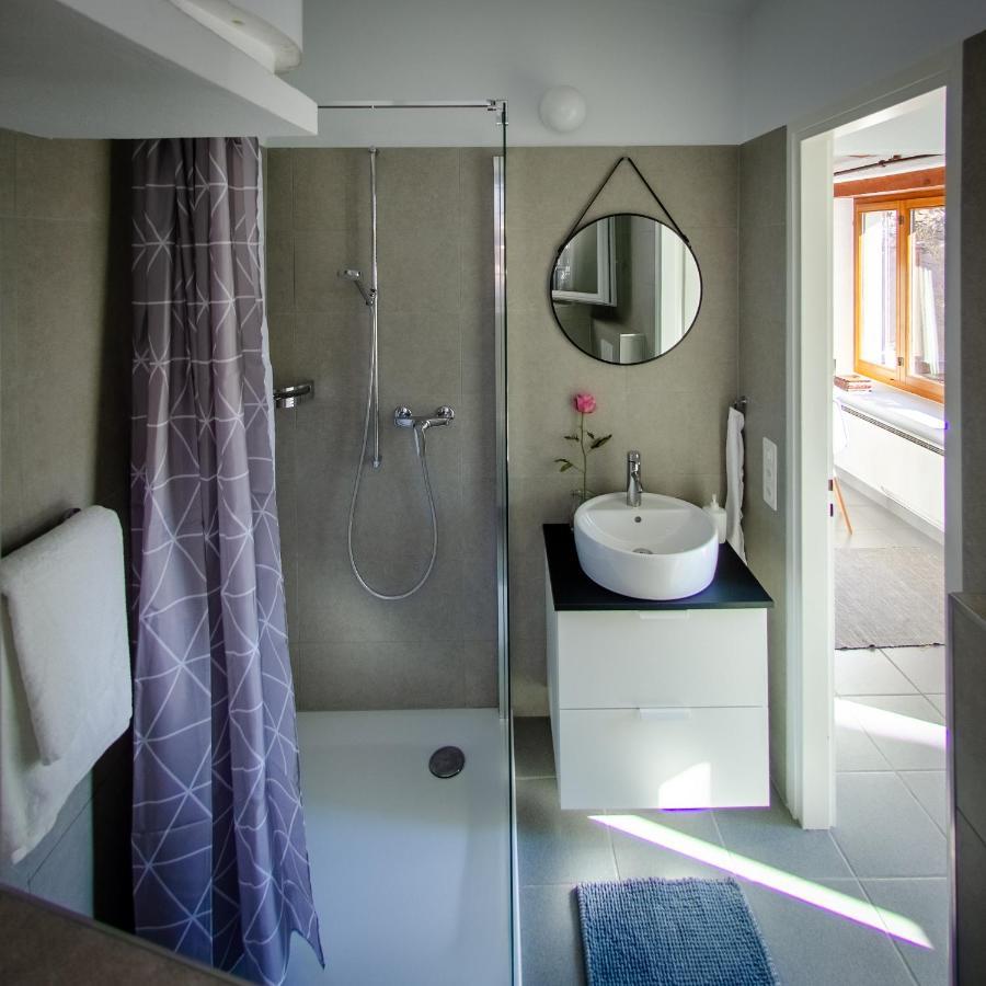 Rustico Al Sole - Just Renewed 1Bedroom Home In Ronco Sopra Ascona Eksteriør billede